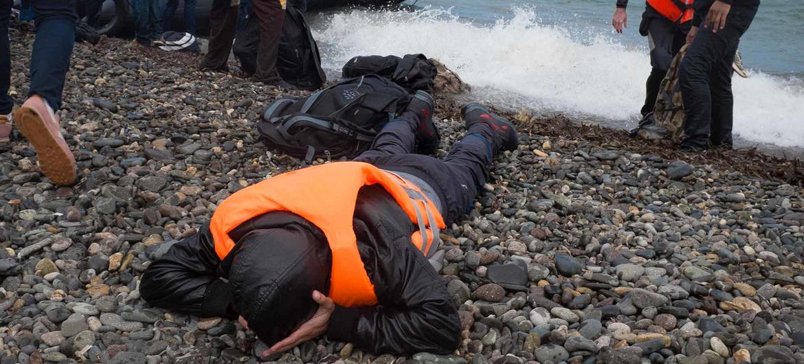 داوطلبان به پناهندگانی که به جزیره لسبوس، در منطقه دریای اژه شمالی یونان می رسند، کمک می کنند.  (فیله)