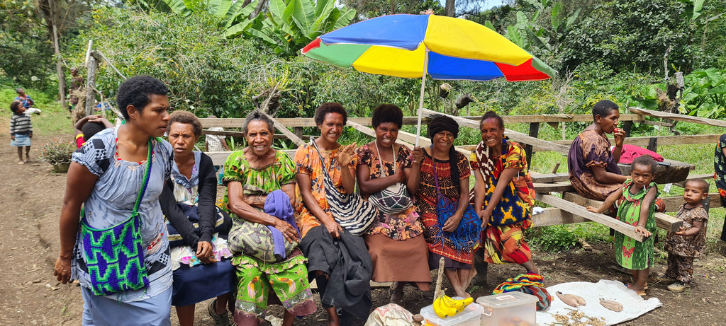 بیش از 100 زن در انتظار کلینیک سلامت سیار صندوق جمعیت ملل متحد در مناطق روستایی شرقی، پاپوآ گینه نو بودند.