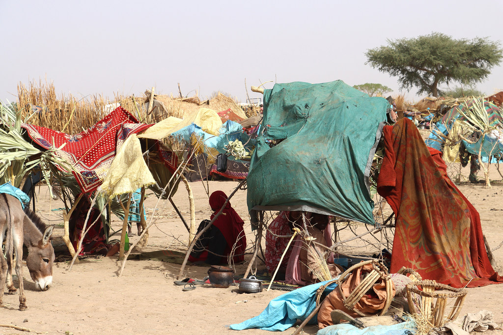 هزاران پناهجو برای فرار از خشونت در سودان از مرز به چاد عبور می کنند.
