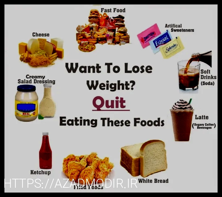 What do animals eat